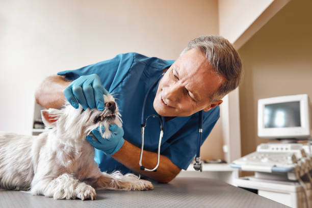 Best Emergency Tooth Extraction in Shelbyville, IN